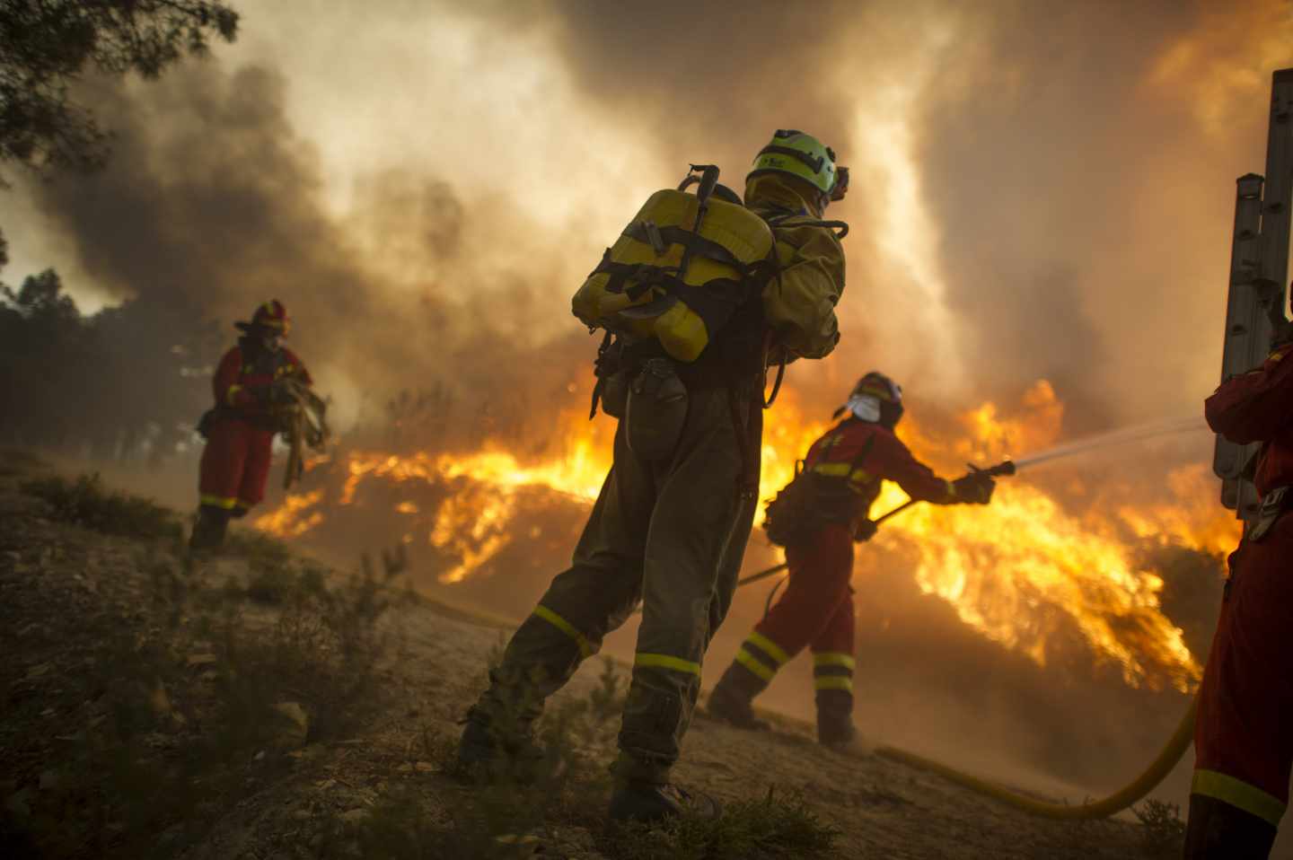 Incendio en Castrocontrigo (León)