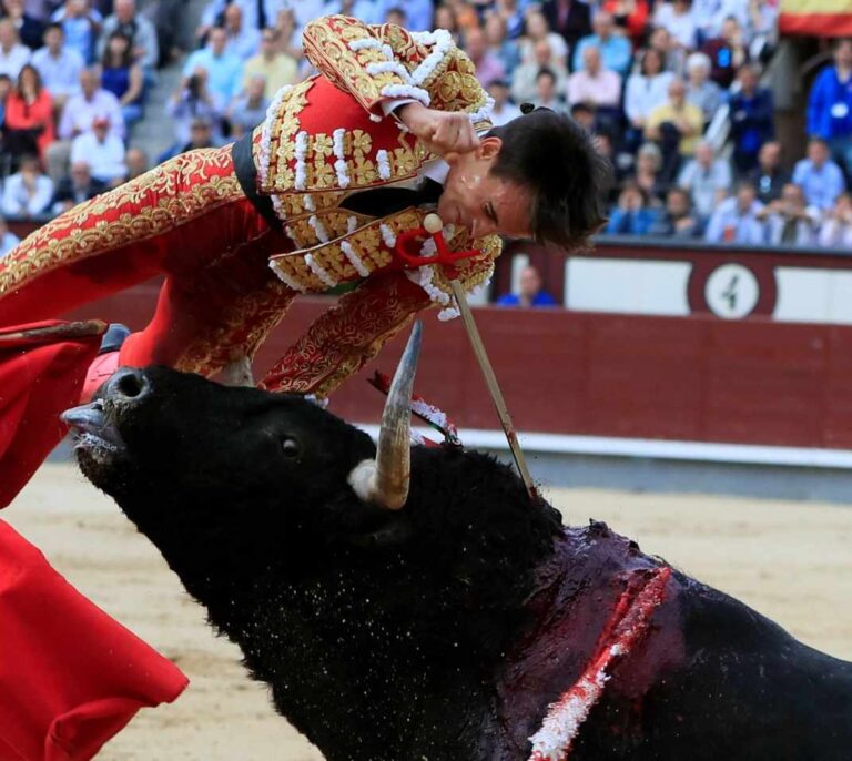 Cogida en Las Ventas de Gonzalo Caballero, novio de Victoria Federica