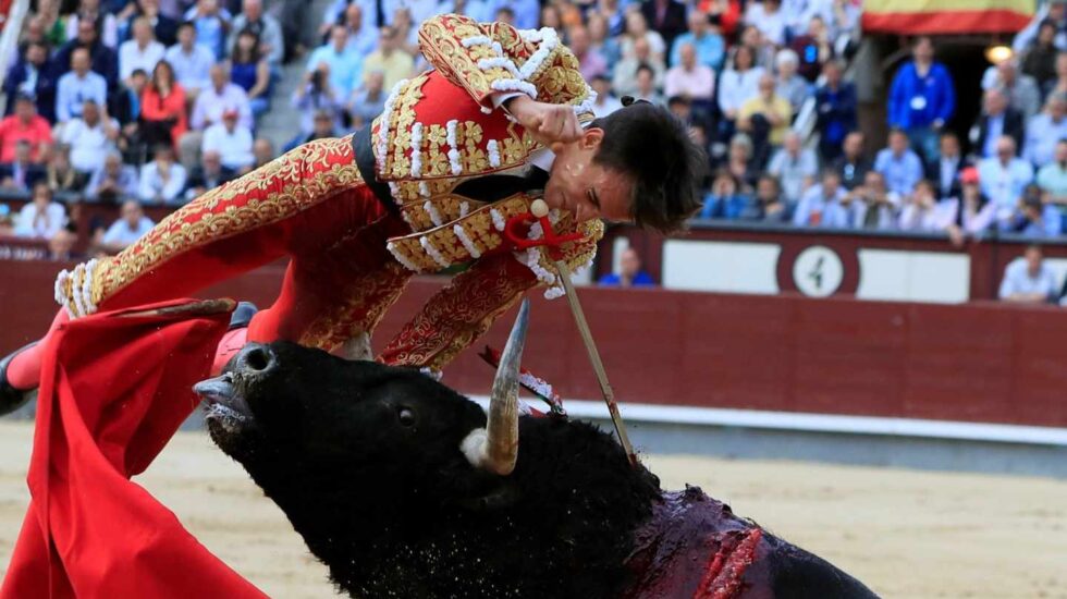 Cogida de Gonzalo Caballero en Las Ventas.