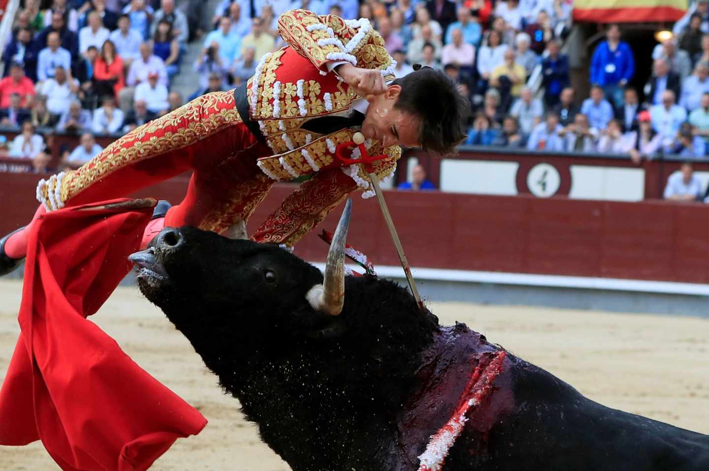 Cogida de Gonzalo Caballero en Las Ventas.