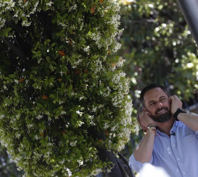 Vox no quiere repetir la fórmula de Andalucía y pedirá entrar en gobiernos autonómicos