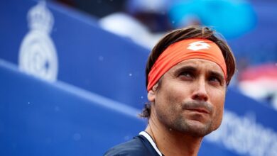 Adiós a David Ferrer: un grande a la sombra de una leyenda