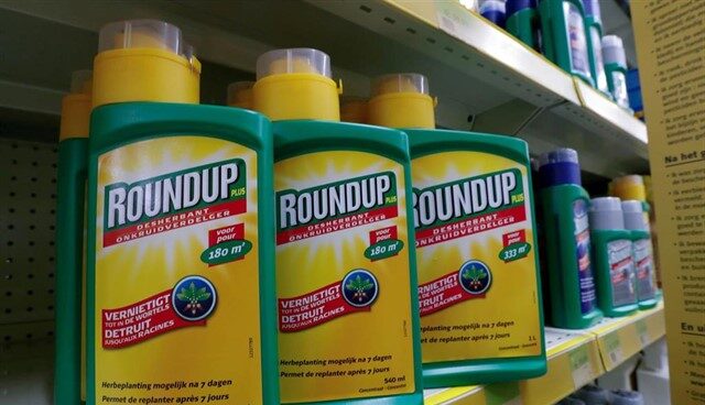 Herbicidas 'RoundUp' de Monsanto.