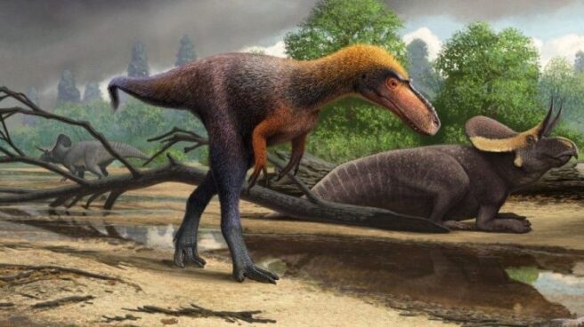 Dibujo del Suskityrannus, el primo pequeño del tiranosaurio