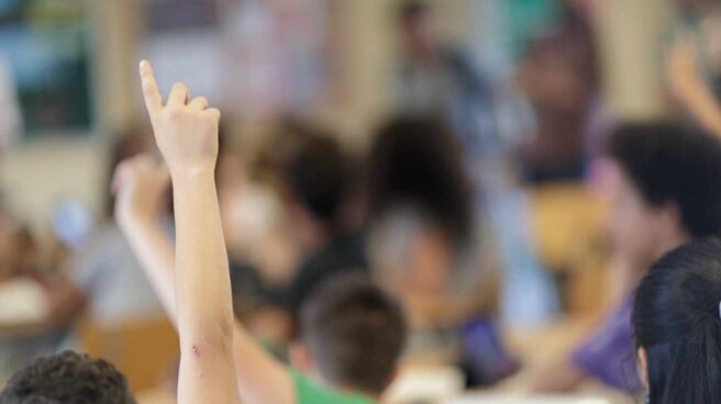 Los padres por la escuela bilingüe en Cataluña denuncian al relator de la ONU por sus informes