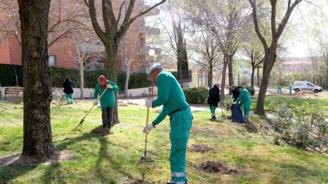 Empleados trabajando en la limpieza de un jardín público.