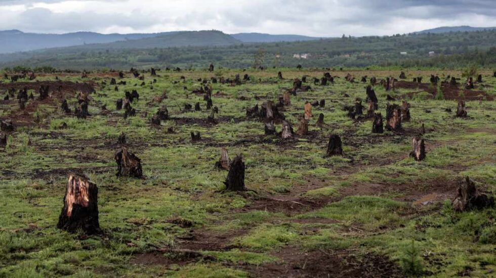 Deforestación en Madagascar