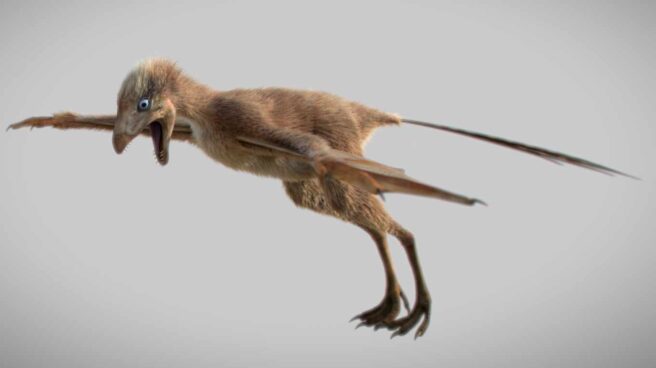 Dino 'murciélago' Ambopteryx longibrachium