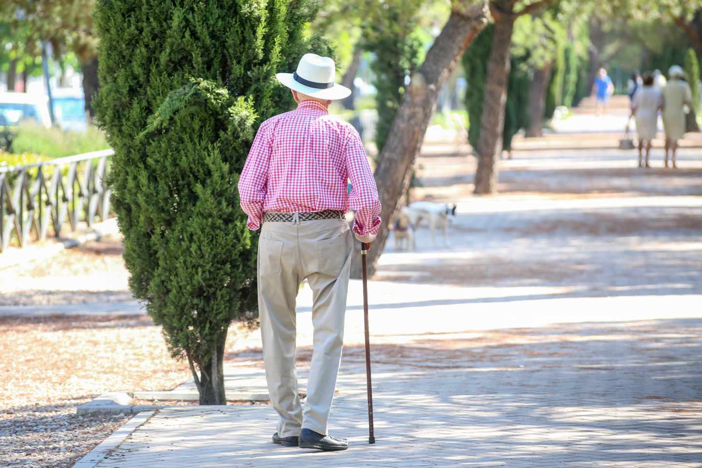 La personas que se sienten solas tienen más riesgo de demencia