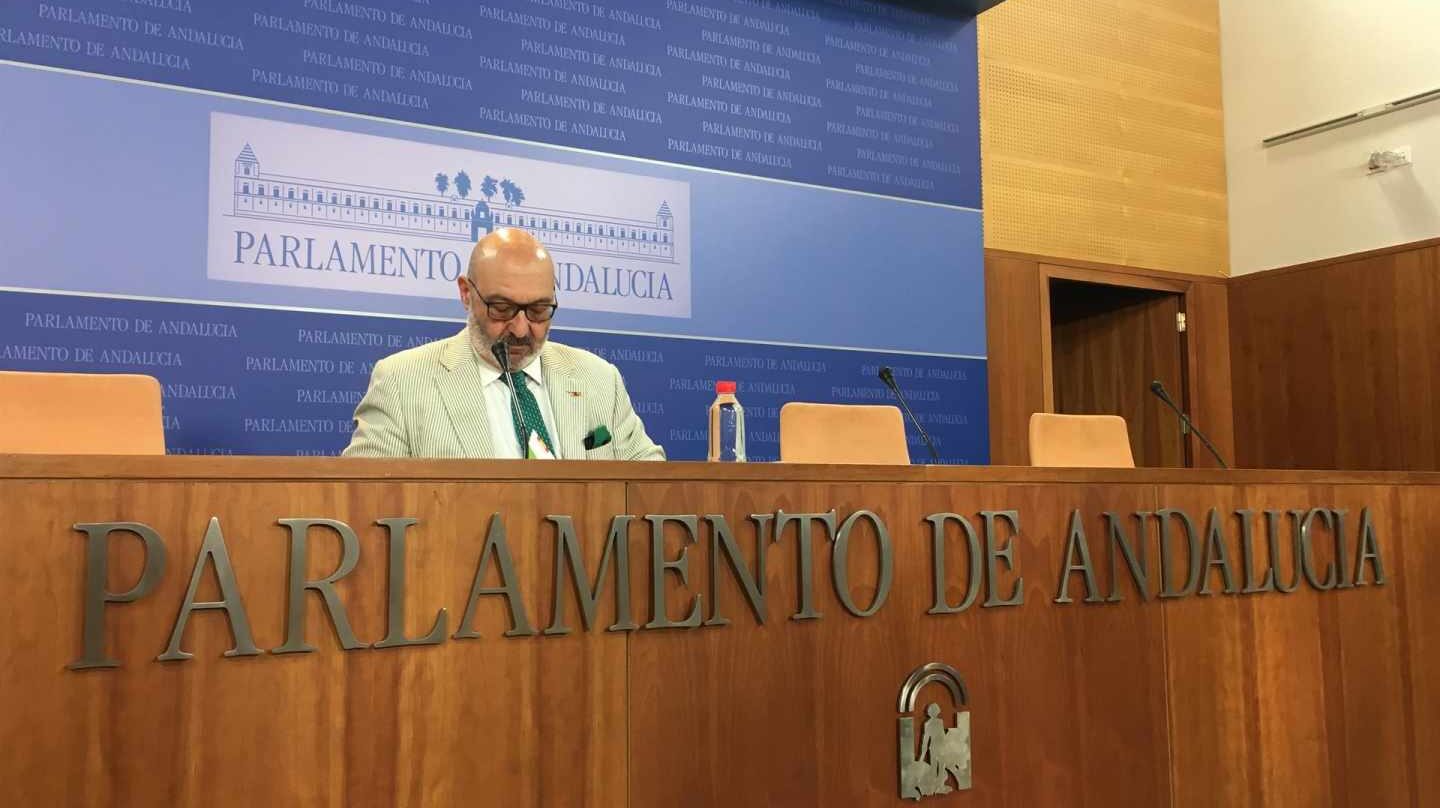 Alejandro Hernández, portavoz parlamentario de Vox en Andalucía.