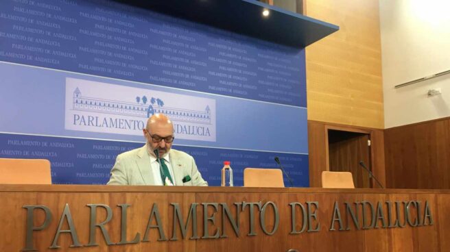 Alejandro Hernández, portavoz parlamentario de Vox en Andalucía.