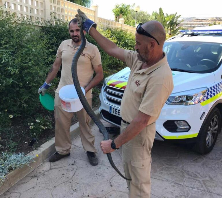Capturan una serpiente de tres metros cerca de un parque infantil de Málaga