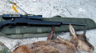 Furtivos en los Picos de Europa: investigan a cuatro personas por cazar dos rebecos