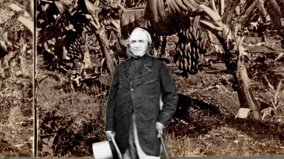 El jardinero Joseph Paxton, creador del plátano Cavendish