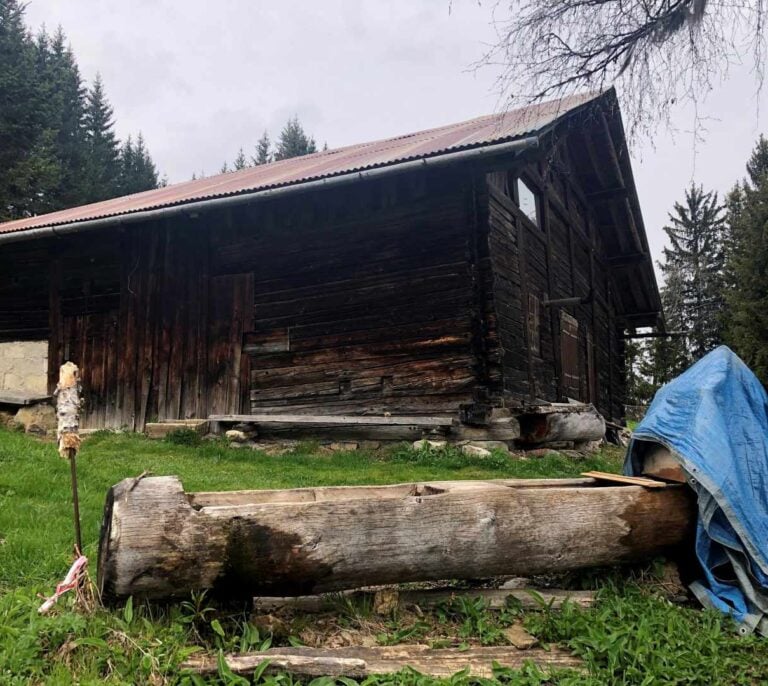 'Josu Ternera' vivía en un refugio de montaña y portaba 4.000 euros al ser detenido