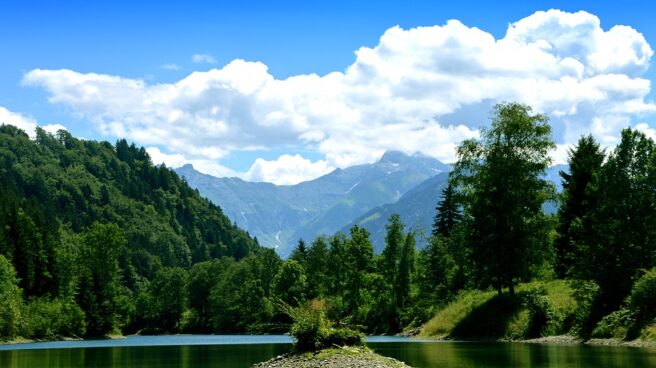 waldsee-2816904_960_720