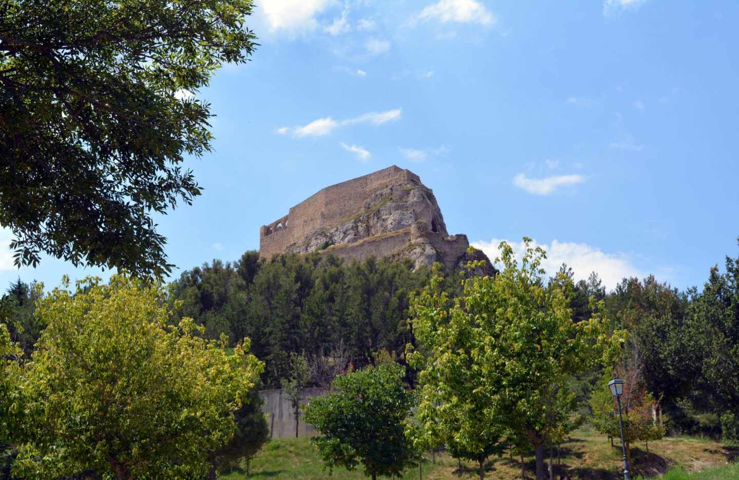 Morella