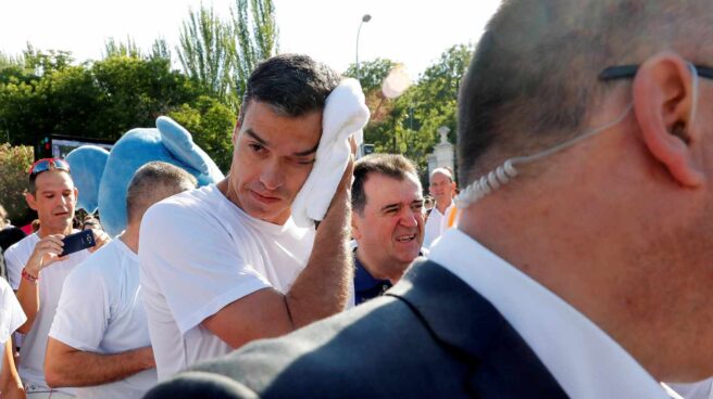 Pedro Sánchez investidura