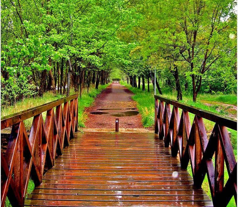 Vía Verde de Cidacos (La Rioja)