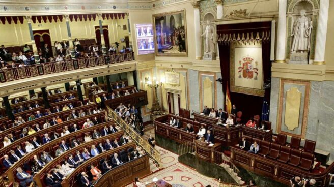 El Congreso invirtió 1,4 millones euros en viajes de diputados en la legislatura fallida