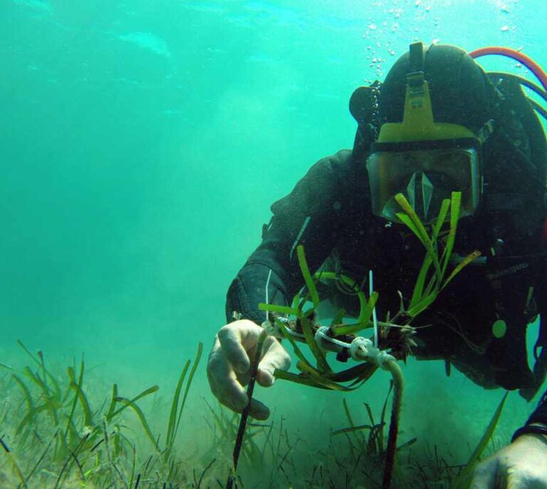 Al rescate del tesoro de Poseidón