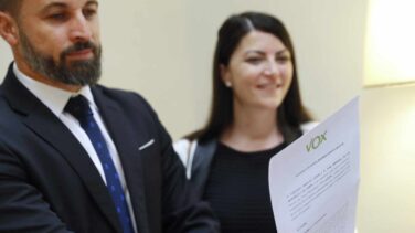 Vox acusa a Urkullu de "racista" por rechazar la ayuda de la UME en Zaldibar