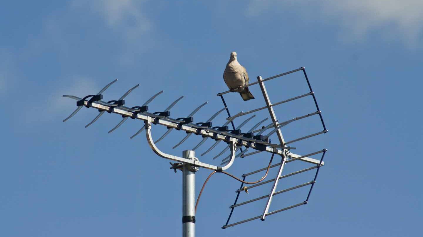 Resultado de imagen de antena