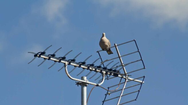 El Gobierno dará entre 100 y 680€ para el cambio masivo de antenas de TV en hogares