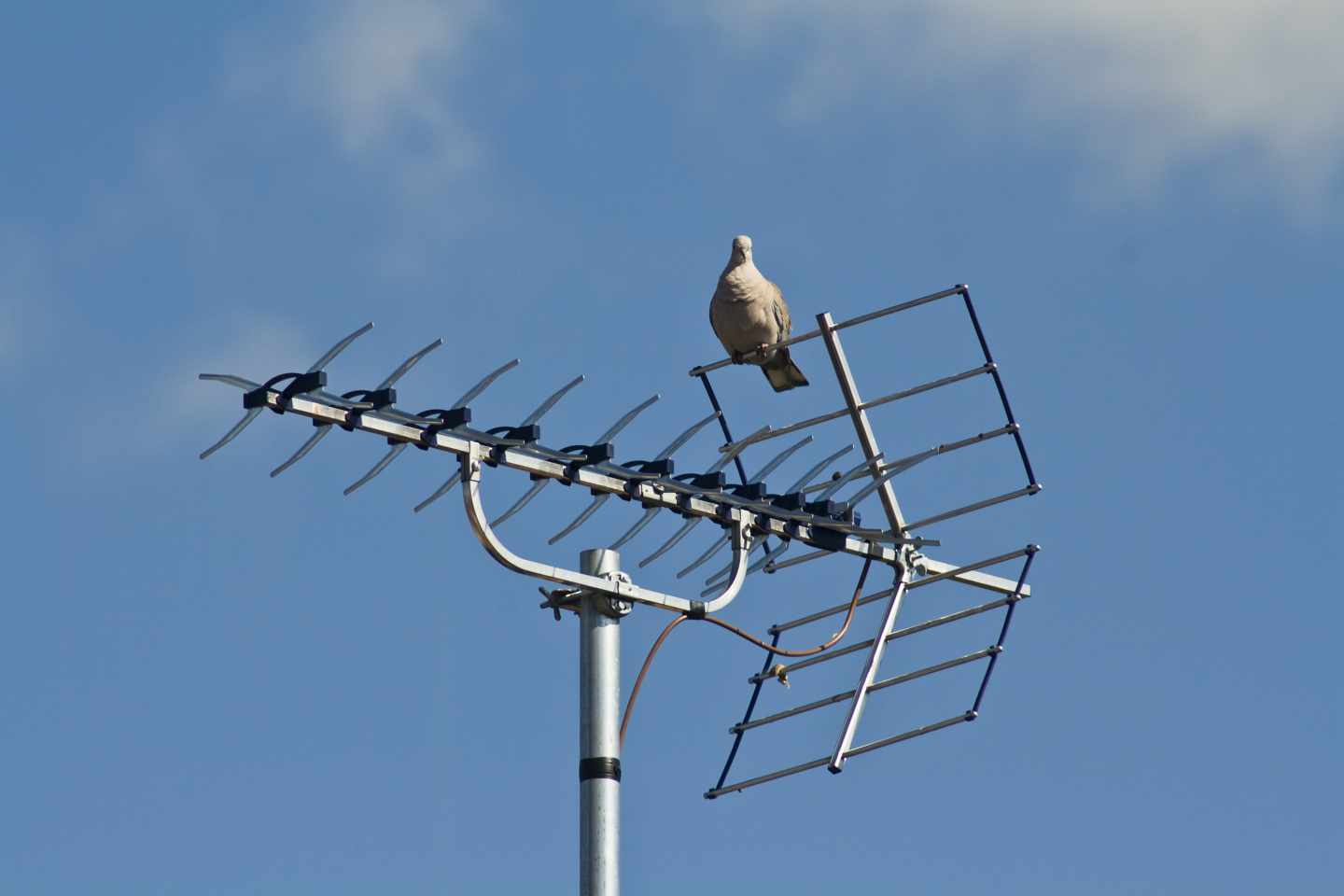 Una antena de televisión en una comunidad de vecinos.