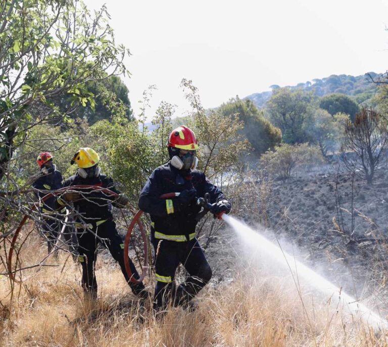 "Perspectivas positivas" en el incendio de Cadalso y "bastantes focos" en Cenicientos