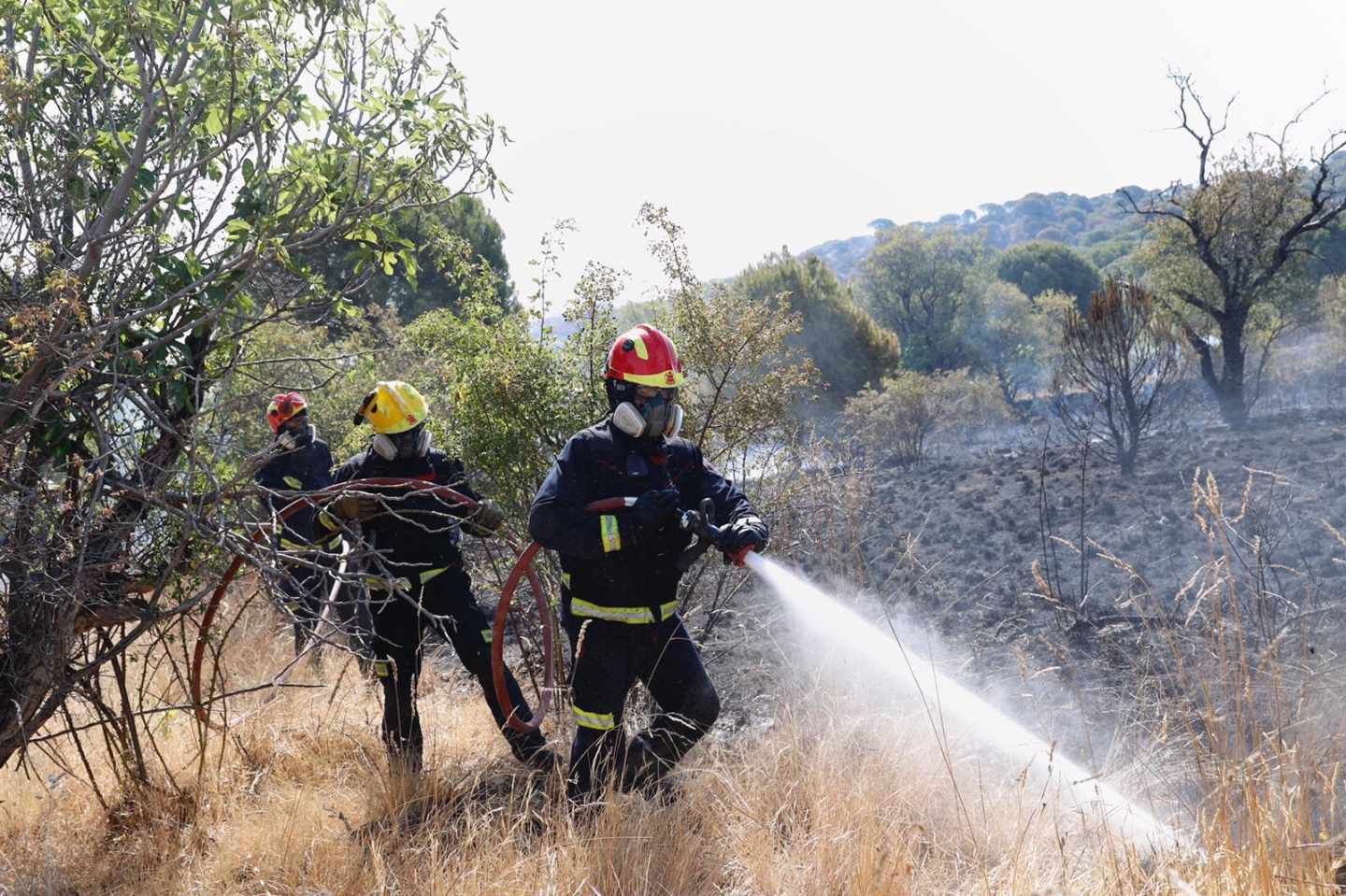Un bombero trabaja en el incendio de Cadalso (Madrid).