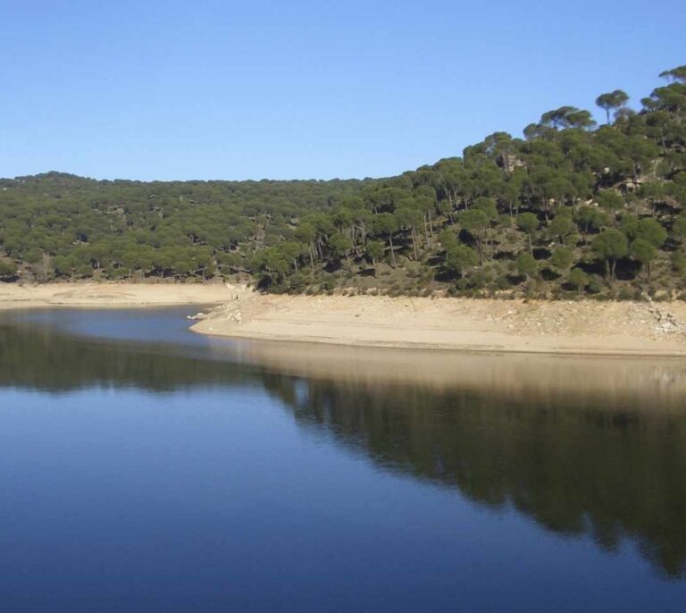 Ayuso pide no acudir este domingo al pantano de San Juan por el incendio de la zona