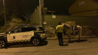 Multan a un jinete borracho que transitaba a caballo una carretera de Pontevedra