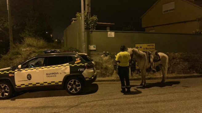 Caballo Pontevedra