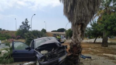 Un conductor sin permiso ni seguro se salta un control y choca contra una palmera
