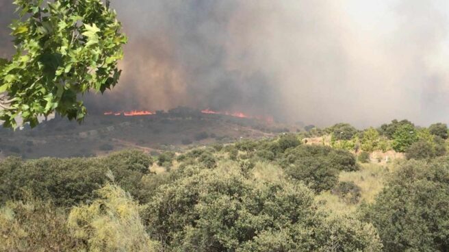 Incendio de Montesión y La Bastida.