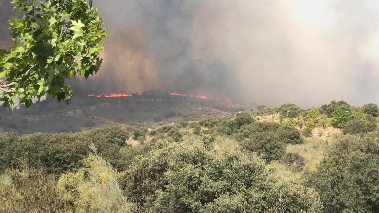 Incendio de Montesión y La Bastida.