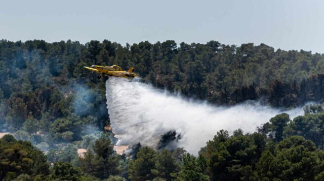 Un avión trabaja en las tareas de extinción del incendio.