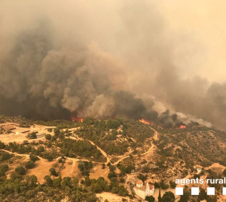 Un incendio descontrolado en Tarragona arrasa 2.500 hectáreas en seis horas