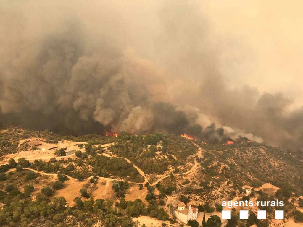 Incendio Forestal en Torre del Español (Tarragona).