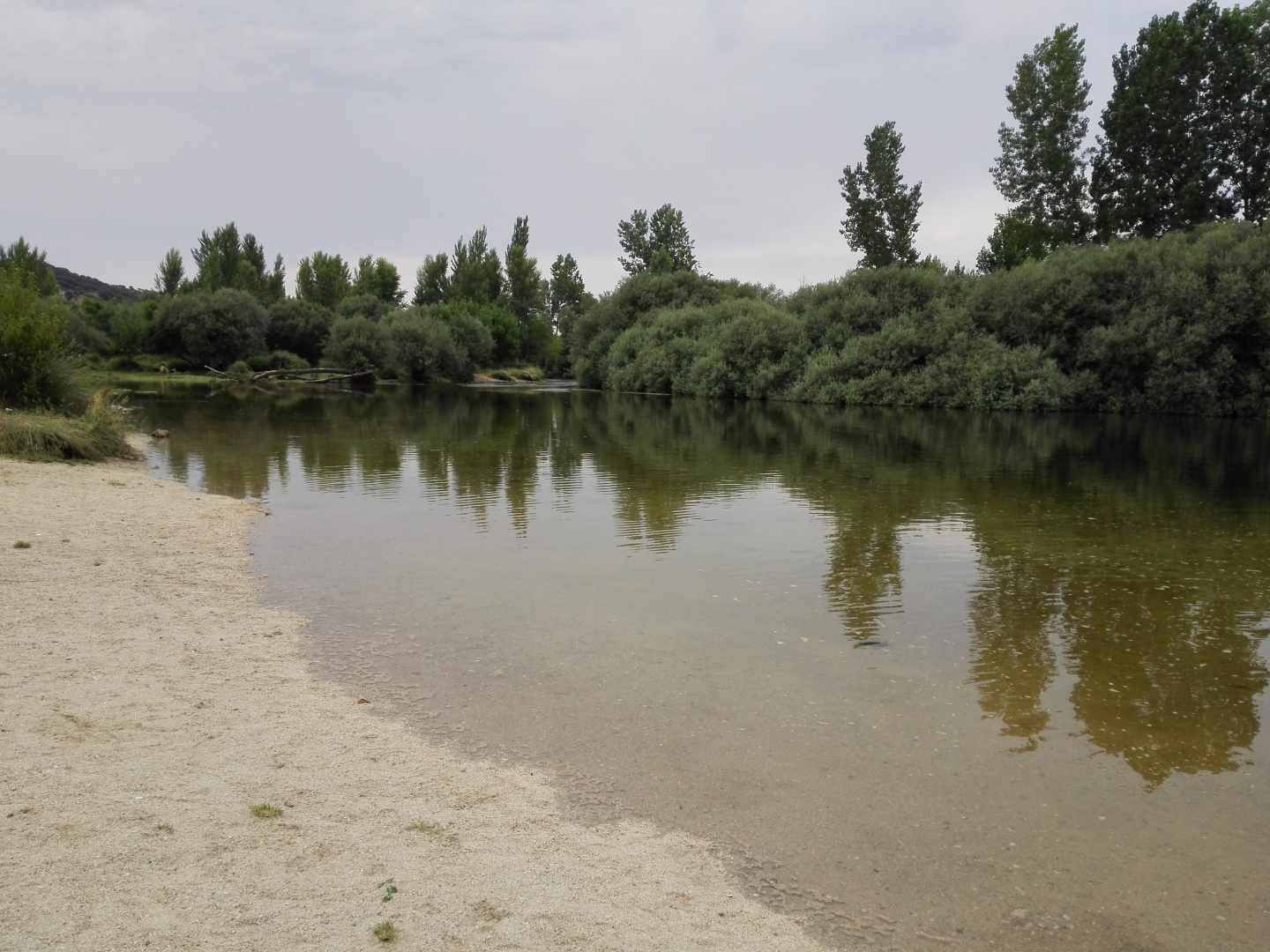 Playa del Alberche