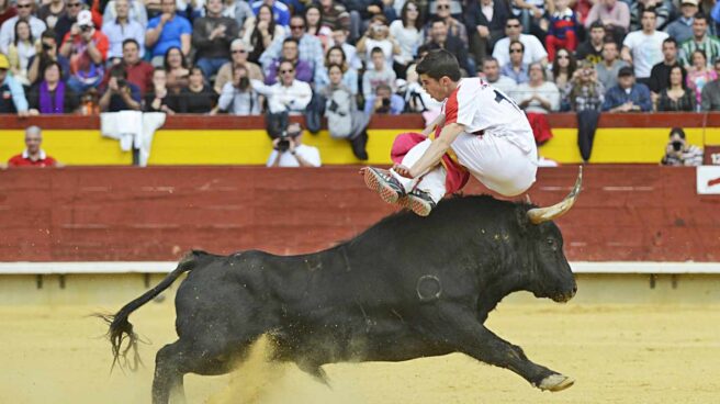 Muere un torilero de una cornada en la plaza de toros de Benavente (Zamora)