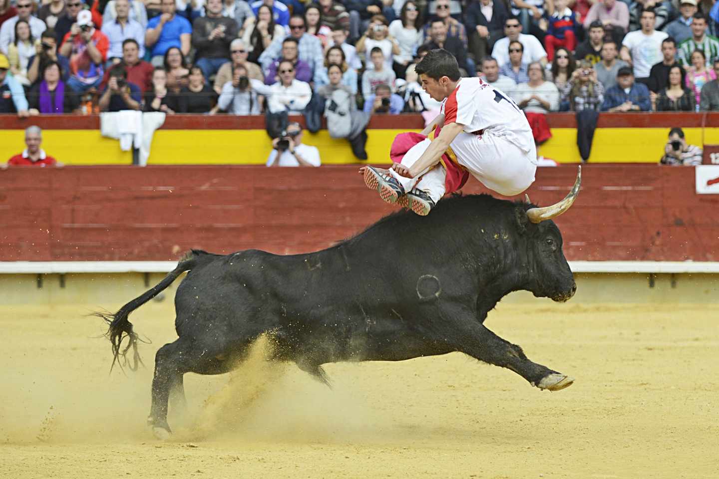 Un recortador en acción.