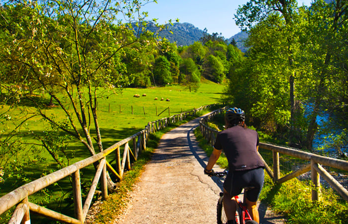 Senda del Oso (Asturias)