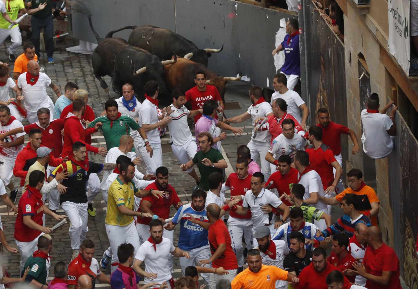 Los toros de Palmosilla en el Séptimo encierro de San Fermín.