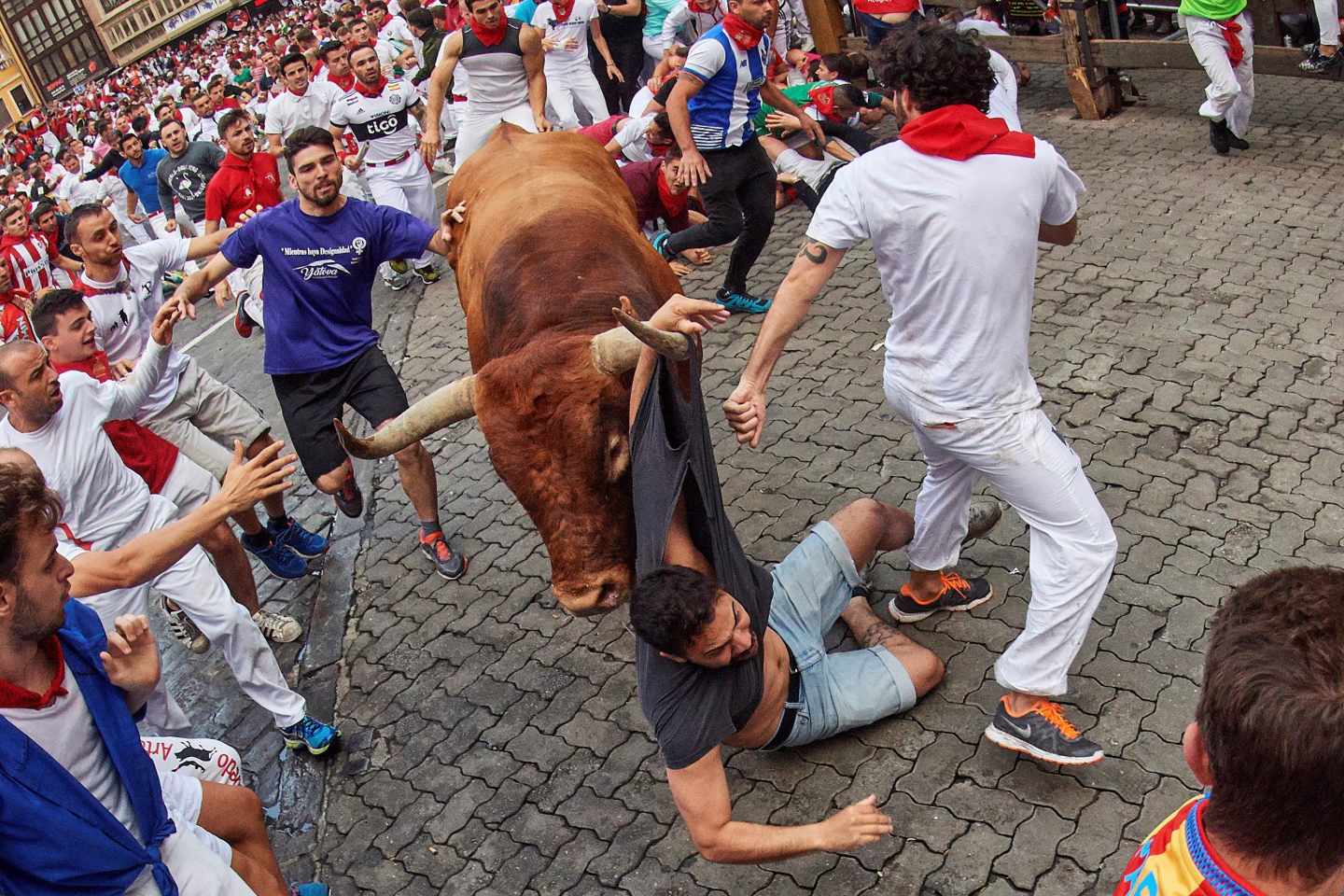 Los toros de la ganadería sevillana de Miura, a su paso por el tramo de Telefónica