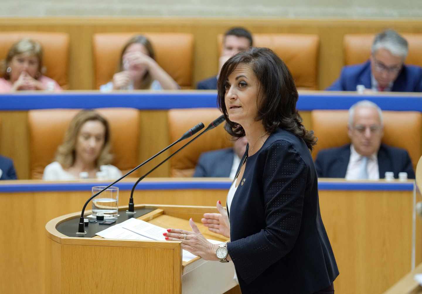La candidata socialista a la Presidencia del Gobierno riojano, Concha Andreu.