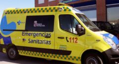 Muere una joven de 27 años tras ser atacada por dos perros carea y tres mastines en Zamora