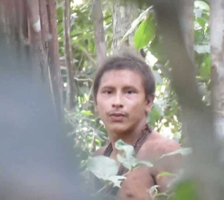Un miembro de los Awa, la tribu más aislada del Amazonas, grabado en vídeo