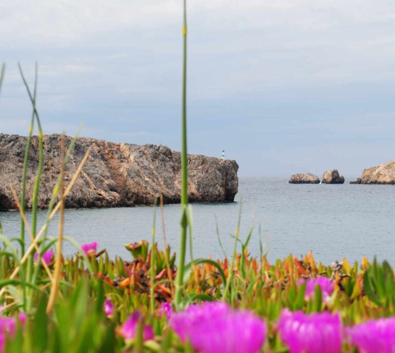 Una isla griega regala casa y 500 euros al mes a las familias que se quieran mudar allí